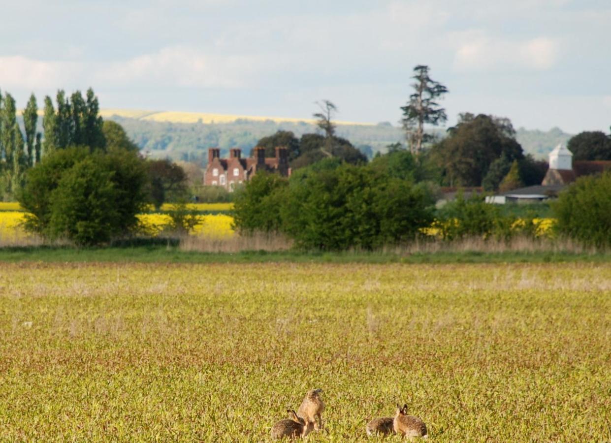Séjour à la ferme Court Farm Barnham (West Sussex)