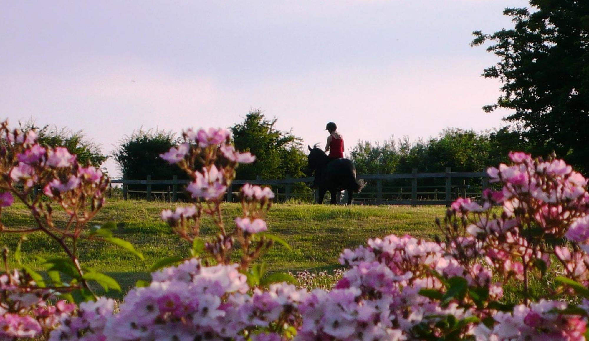 Court Farm
