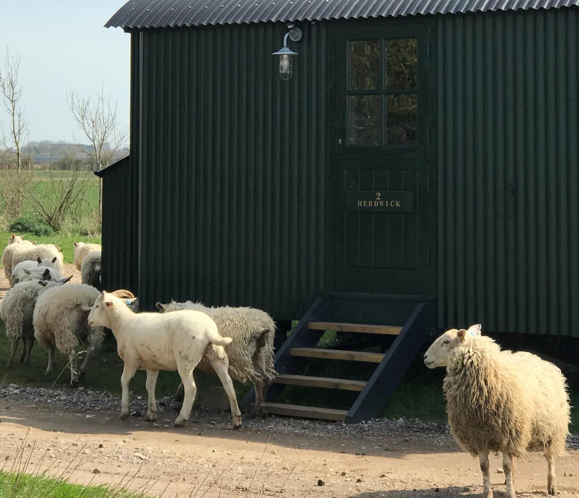 Court Farm * Barnham (West Sussex)